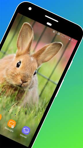 Rabbit Wallpaper screenshot 3