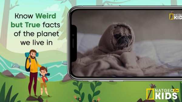 National Nat Geo Kids: Wildlife 2 تصوير الشاشة