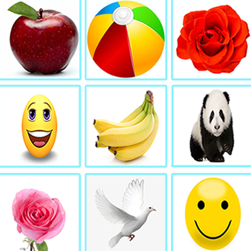 Brain Game Picture Match Fun icon