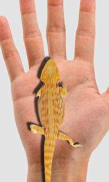 Lizard on phone funny prank screenshot 3