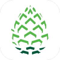 Pinecone Mobile App logo