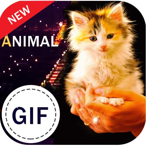 Animal Gif Stickers 1.0.0.4