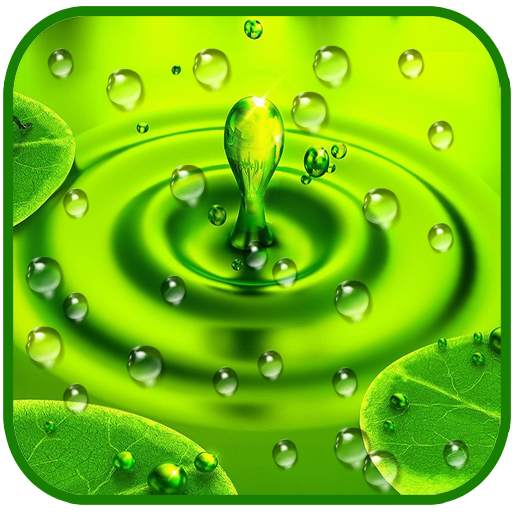 Drops Rain Live Wallpaper 1.4