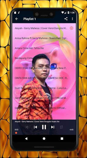 Kompilasi Gery Mahesa Mp3 Offline screenshot 7
