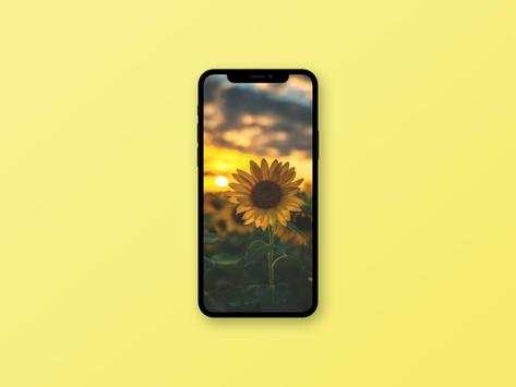 Sunflower Wallpaper screenshot 6
