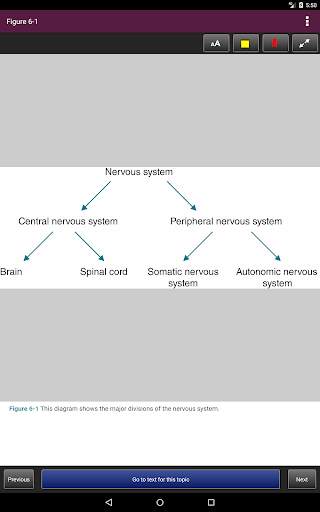 Basic Concepts In Pharmacology, Fifth Edition screenshot 23