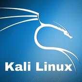 Kali Linux 1.1