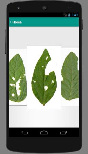 BioLeaf - Foliar Analysis screenshot 2