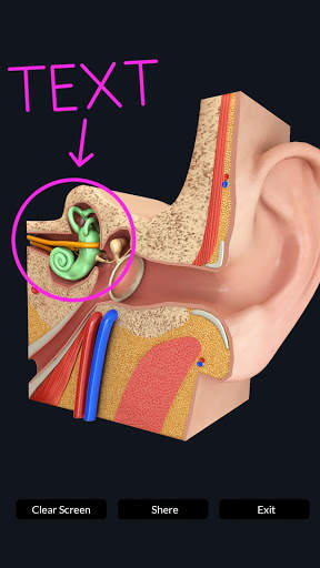 My Ear Anatomy screenshot 6