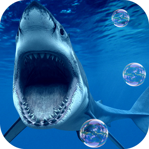 Shark Live Wallpaper आइकन