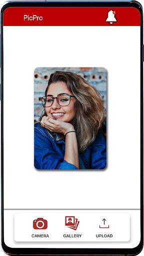 PicPro screenshot 4