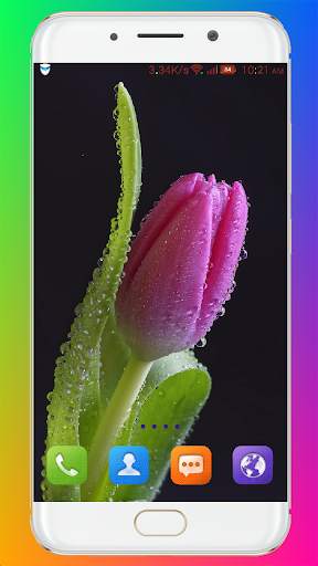 Purple Flower Wallpaper screenshot 10