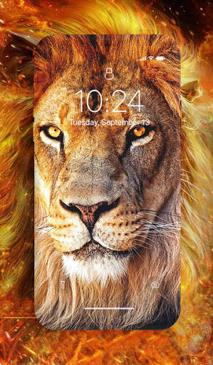 Lion Wallpaper screenshot 3