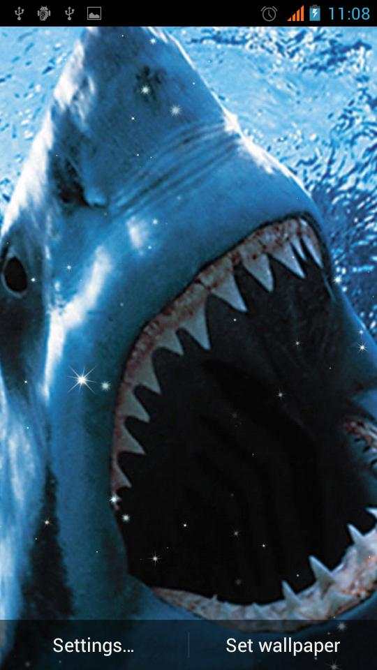 Shark Live Wallpaper скриншот 2