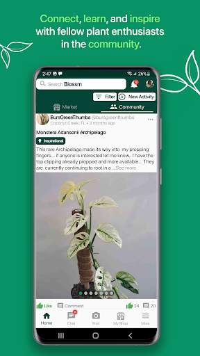 Blossm - Social Plant Market screenshot 4