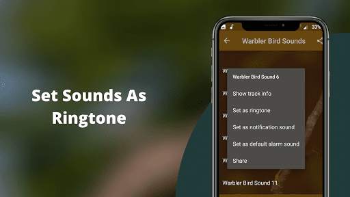 Warbler Bird Sounds screenshot 3