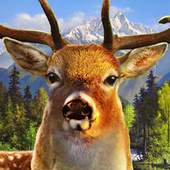 Jungle Deer Hunter 2016 1.0.2