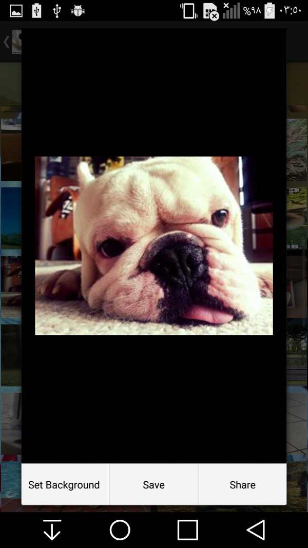 Cute and Funny Animals screenshot 2