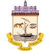 Namma Chennai icon