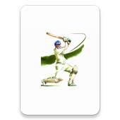 Cricket Score 2.0