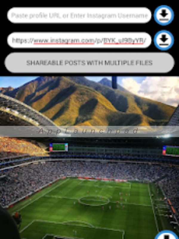 Downloader for Instagram screenshot 6