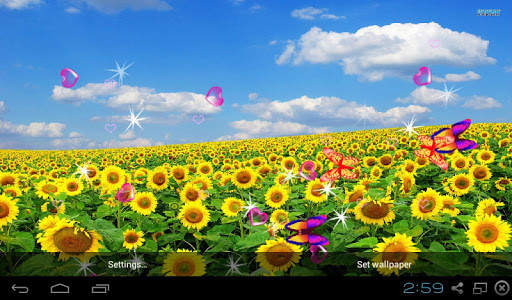 3D Sunflower Wallpaper - Screen Lock, Sensor, Auto screenshot 7