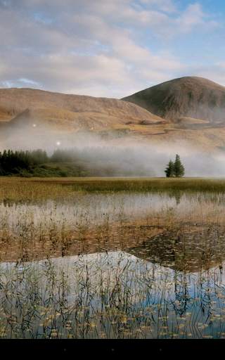 Landscape Live Wallpaper screenshot 5