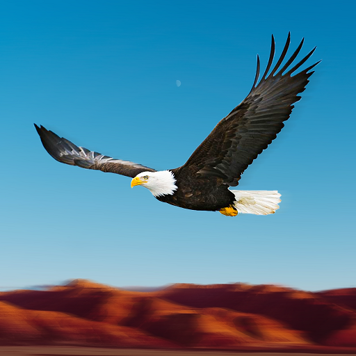 Bird Racing Simulator: Eagle Race Game आइकन