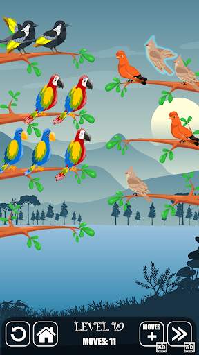Bird Sorting Fun Puzzle Game screenshot 3