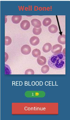 Hematology quiz App screenshot 2