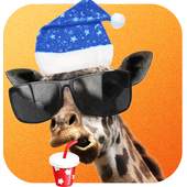 Snap Filter-Funny Face Changer 1.0