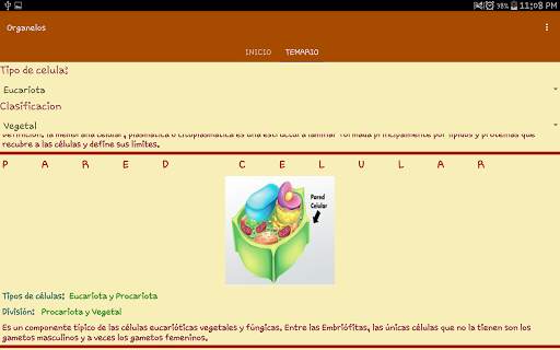 Organelos de la Celula screenshot 9