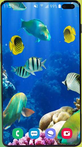 Fish Wallpaper HD screenshot 4