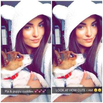 Camera snappy Cats screenshot 1