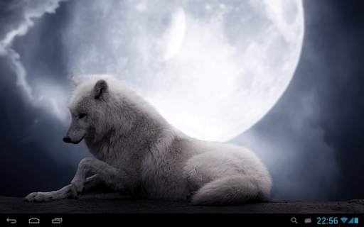Wolves live wallpaper screenshot 6