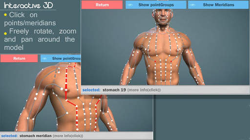 Easy Acupuncture 3D -LITE screenshot 1