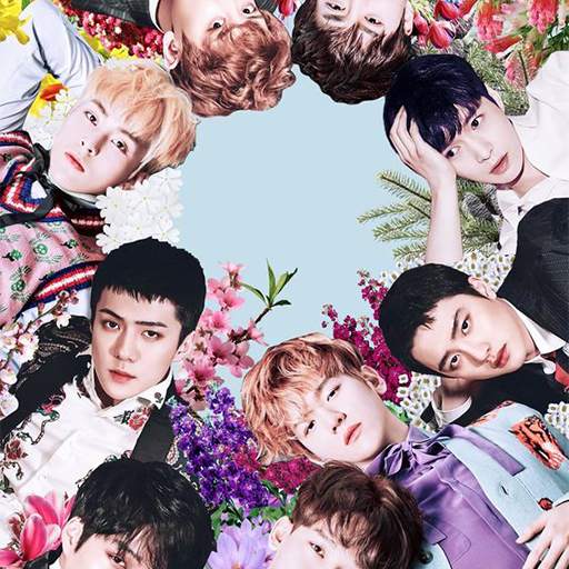  500 EXO Wallpaper HD Offline screenshot 4