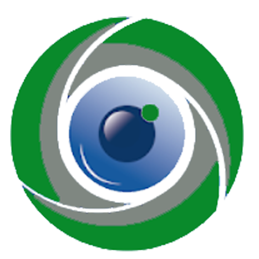 See Cam icon