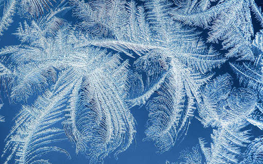 Winter Wallpapers | hd backgrounds screenshot 22