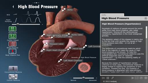 bodyxq heart screenshot 11