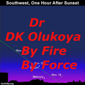 Dr DK  Olukoya ''By fire'' icon