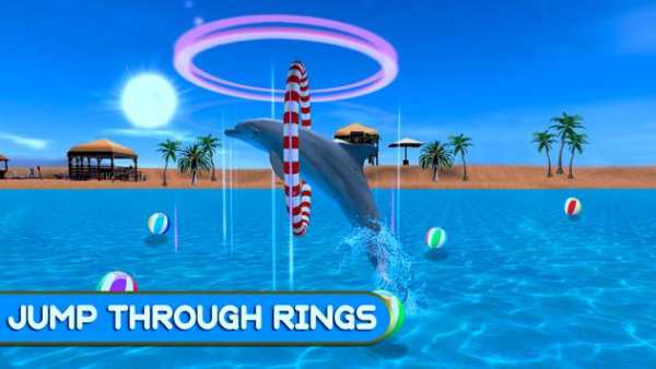 Dolphin Show Fun Game screenshot 3