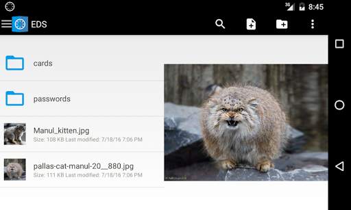 EDS Lite screenshot 3