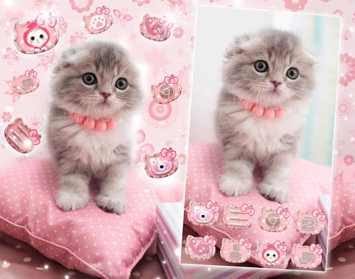 Cute Cat Live Launcher Theme 3 screenshot 4