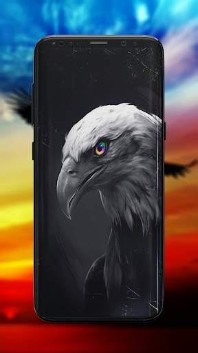 Eagle Wallpaper screenshot 6