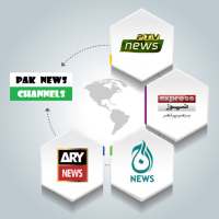 Pak News Channels logo