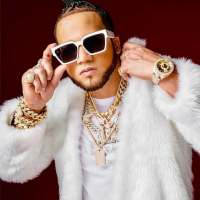 El Alfa - 4K Top Songs mp3