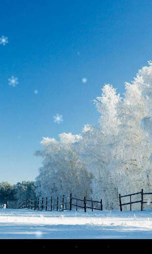 Snow Season Live Wallpaper screenshot 2