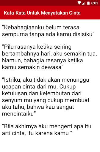 Kata-Kata Cinta Roman Picisan screenshot 8