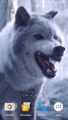 Wolf Video Live Wallpaper screenshot 5